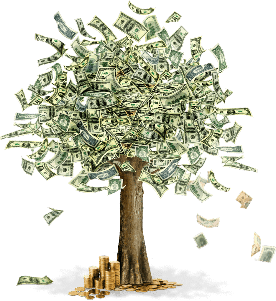 moneytree2